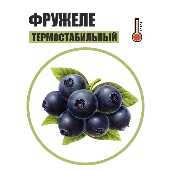 frujele-chernika.png