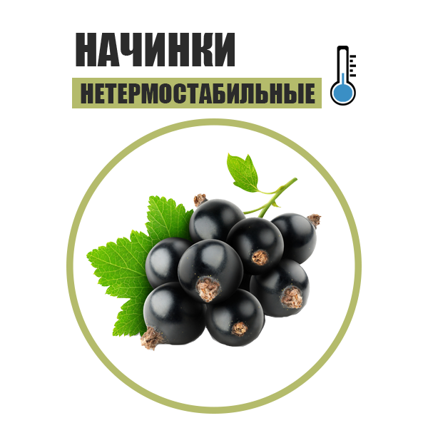 nachinki-smorodina.png